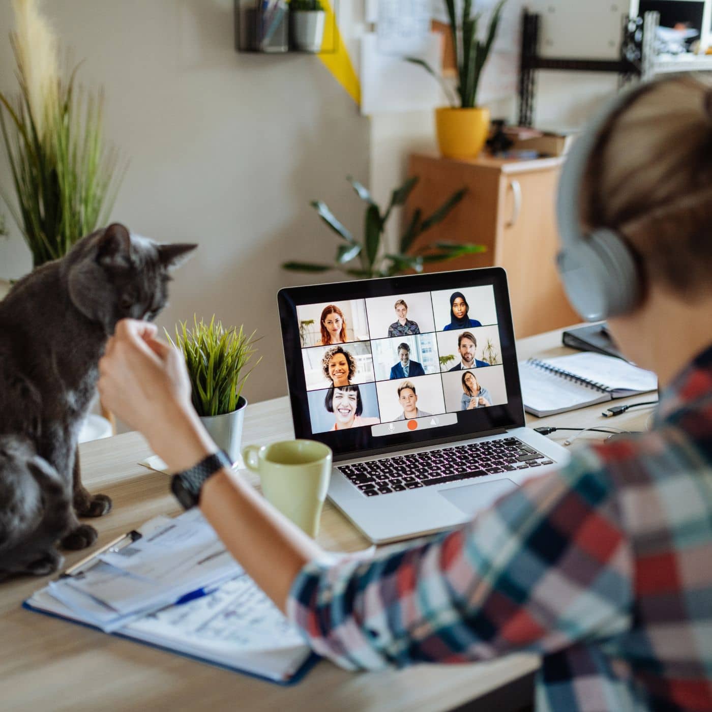 17 work from home tips